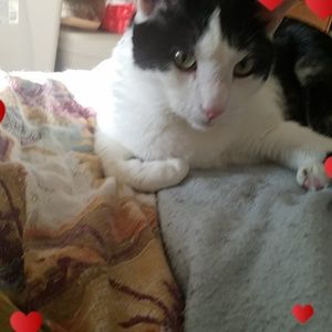 Meet your Posher, Debby